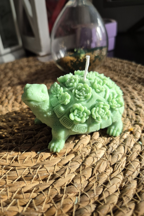 Tartaruga con fiori